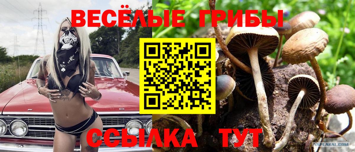 Псилоцибиновые грибы прущие грибы Красноперекопск